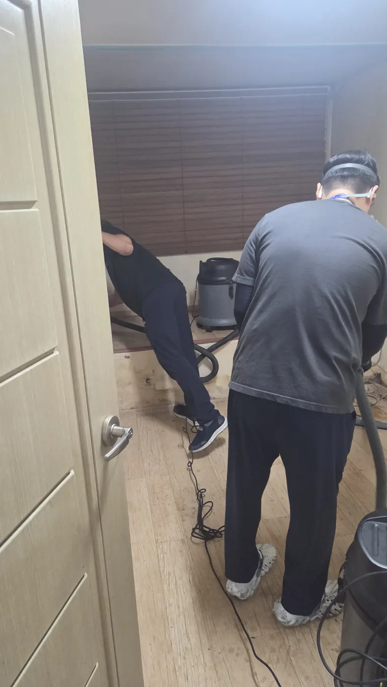 습식 진공 작업 — 고령군 침수청소 현장
