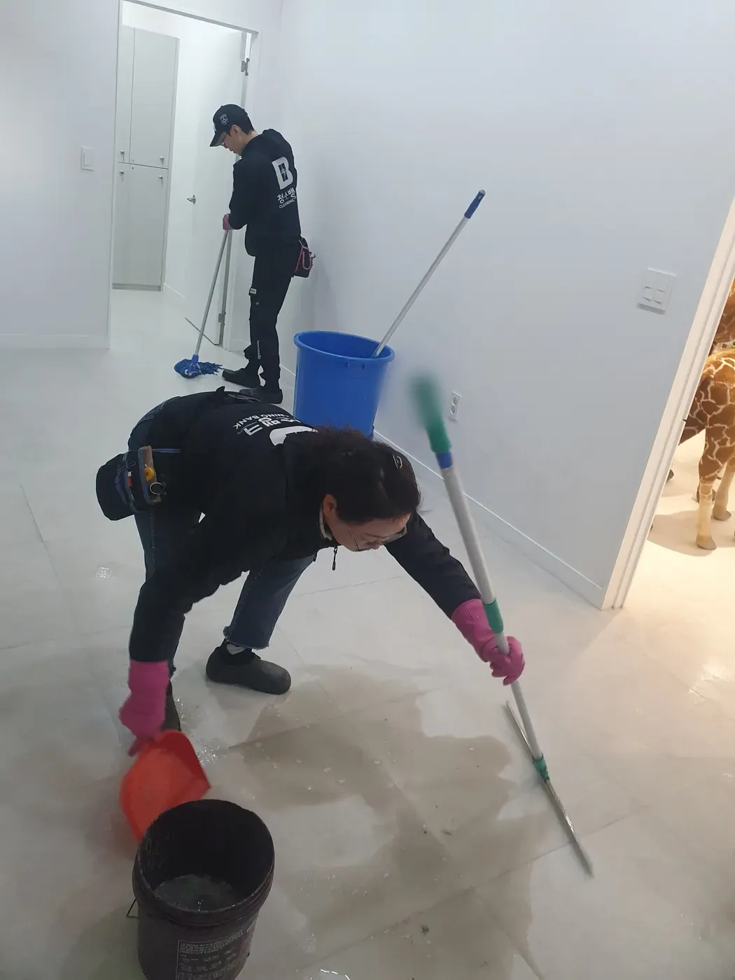 세정 진행 — 영덕군 병원청소 현장