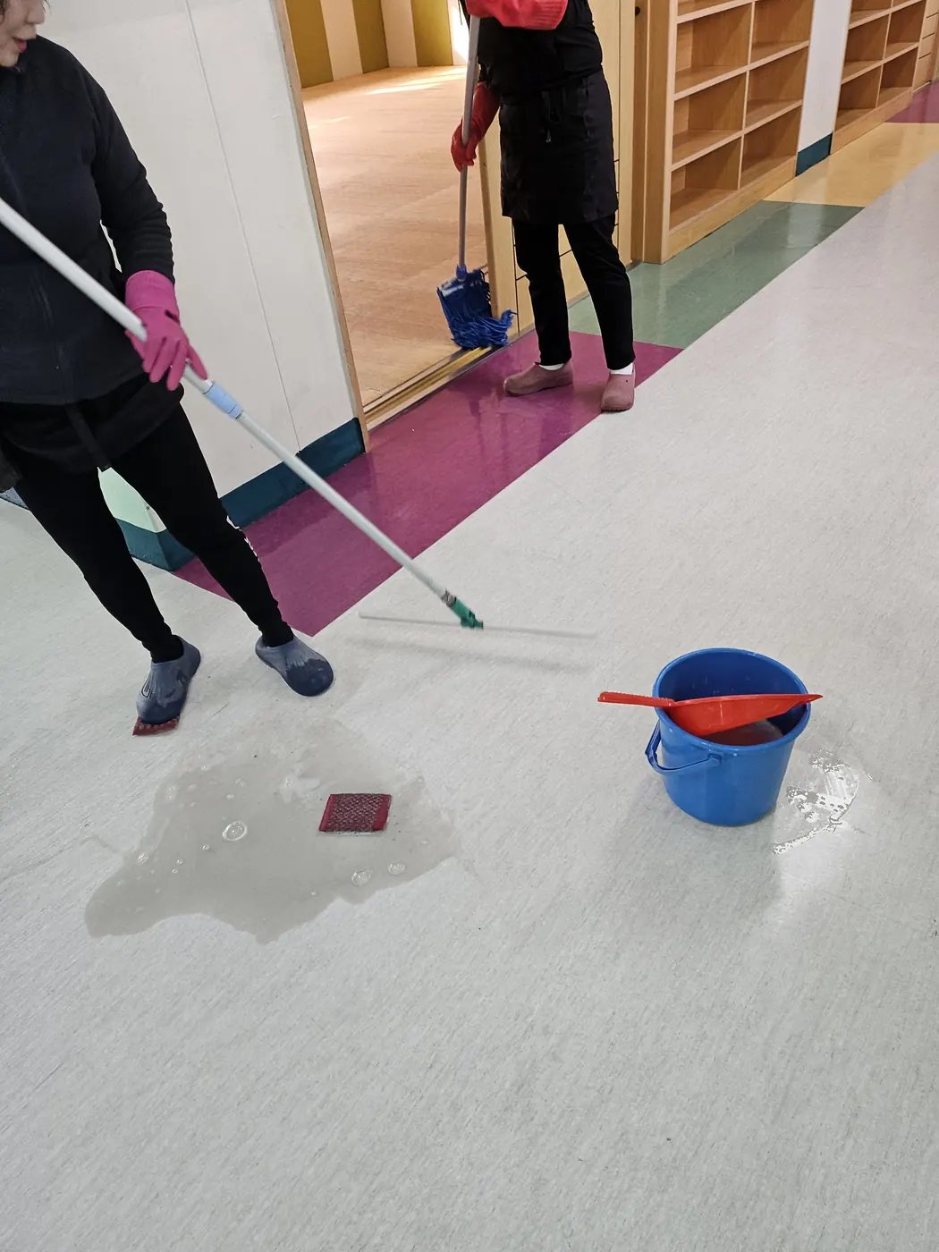 세정 진행 — 경산시 학교청소 현장